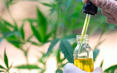 9 korzyści zdrowotnych oleju CBD — i skutki uboczne