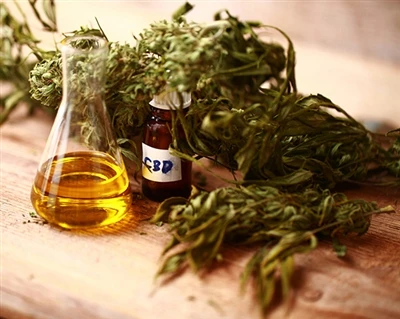 Jak działa CBD?