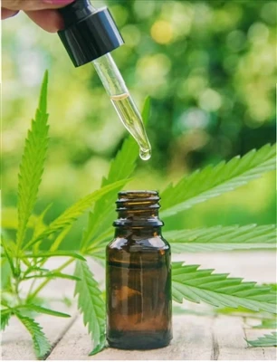 Co warto wiedzieć przed wypróbowaniem CBD