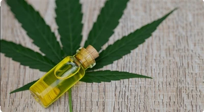 Który produkt Highline Wellness będzie dla Ciebie najlepszy?