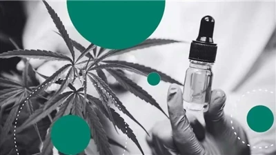 Dlaczego CBD tworzy najlepsze naturalne balsamy do ust