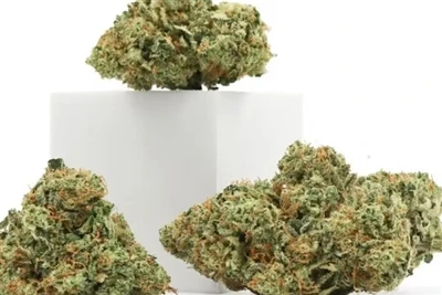Dlaczego CBD tworzy najlepsze naturalne balsamy do ust
