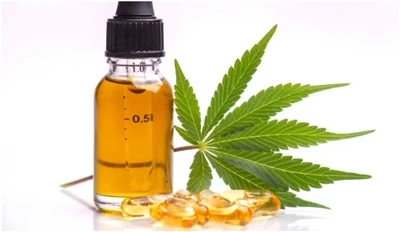 Jaka jest różnica między olejem z nasion konopi, CBD i ekstraktem z konopi?
